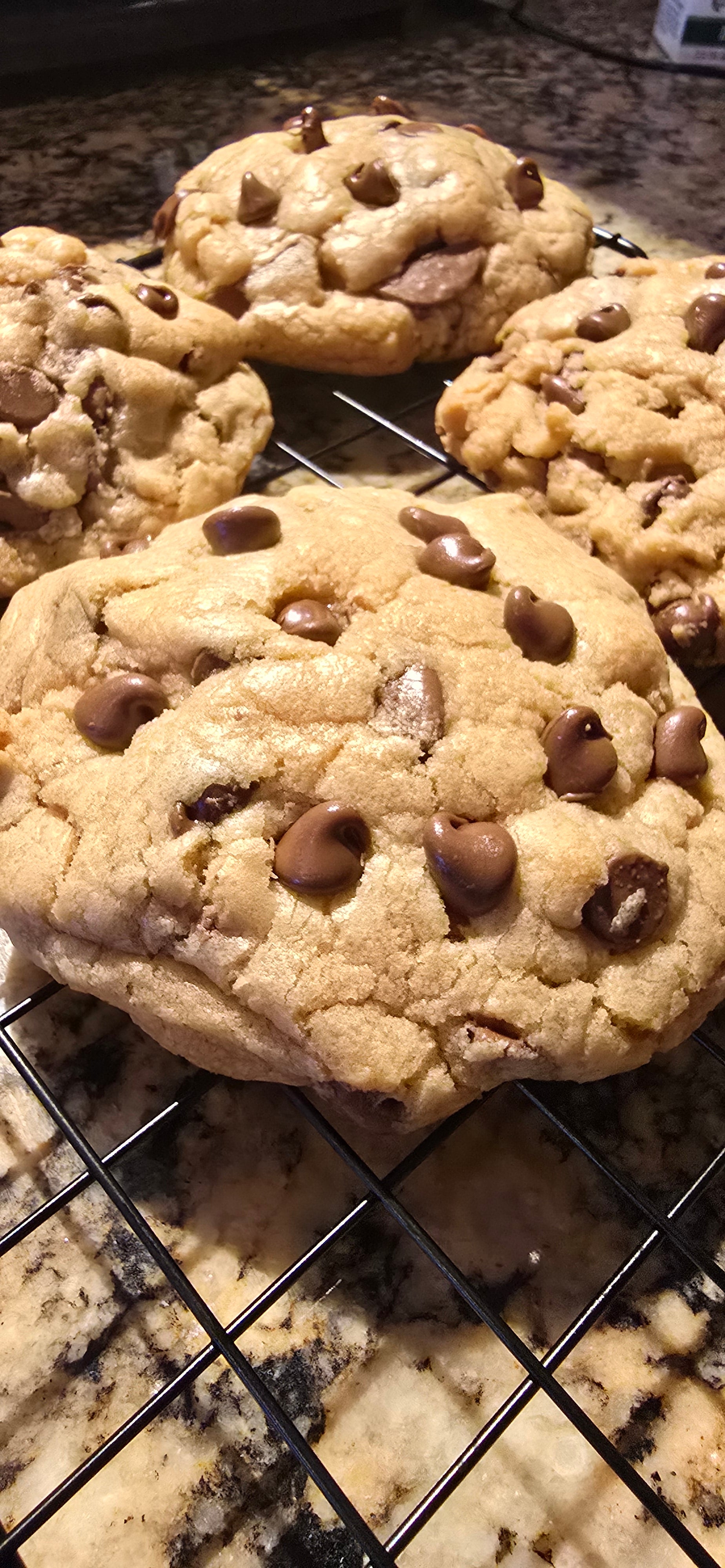 5oz Chocolate Chip Cookie